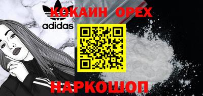 гидропоника Новозыбков
