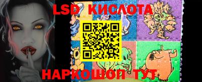 гидропоника Новозыбков