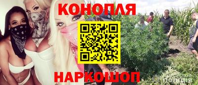 эйфоретик Нальчик