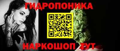 PSILOCYBIN Новокубанск