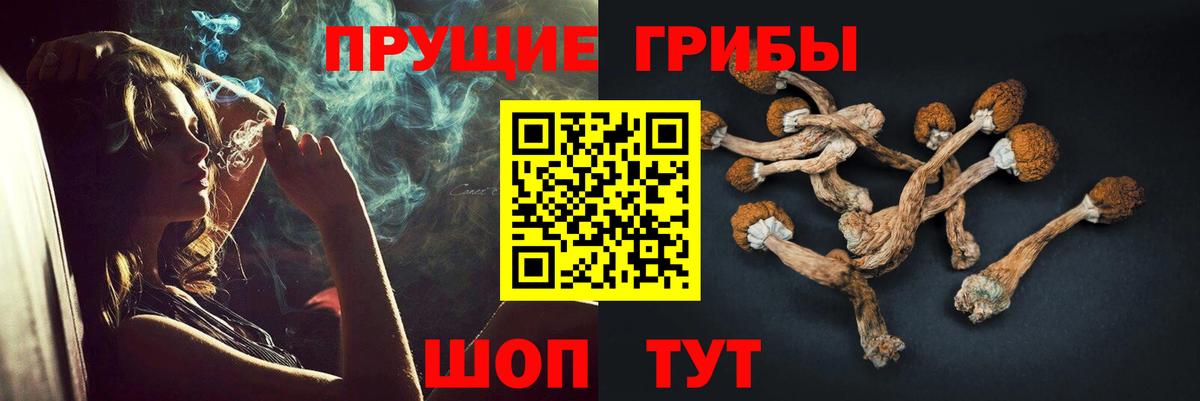 Галлюциногенные грибы Magic Shrooms  Вход с VPN  Тихвин  Псилоцибиновые грибы Psilocybe 